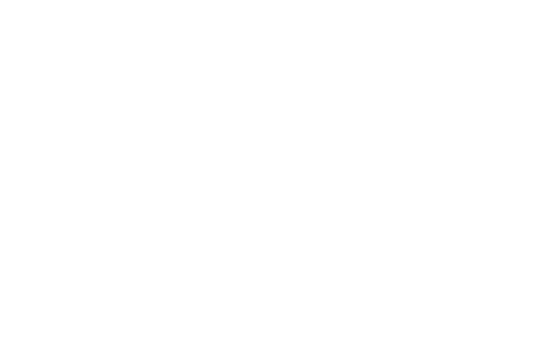 Cannes XR