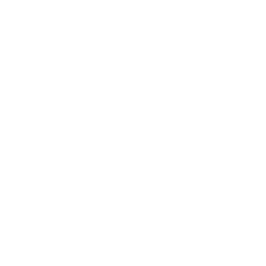 VirtuaReal