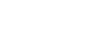 BlueFocus